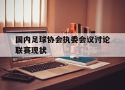 乐鱼体育平台-国内足球协会执委会议讨论联赛现状