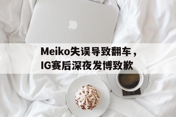 Meiko失误导致翻车，IG赛后深夜发博致歉
