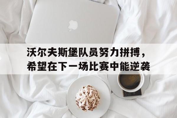 沃尔夫斯堡队员努力拼搏，希望在下一场比赛中能逆袭